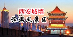 黑丝操逼舔胸黄色网站中国陕西-西安城墙旅游风景区